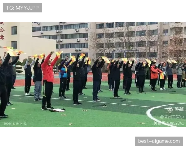 裁判哨音在足球比赛中判罚流程的重要作用与规范解析